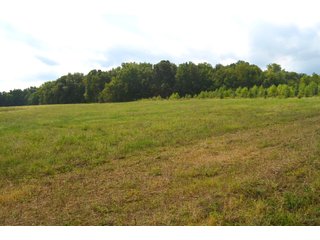 Dekalb County, Indiana Farmland - MAJOR LAND AUCTION - 516+/- ACRES OFFERED IN 18 TRACTS OR COMBINATIONS IN DEKALB COUNTY, INDIANA
